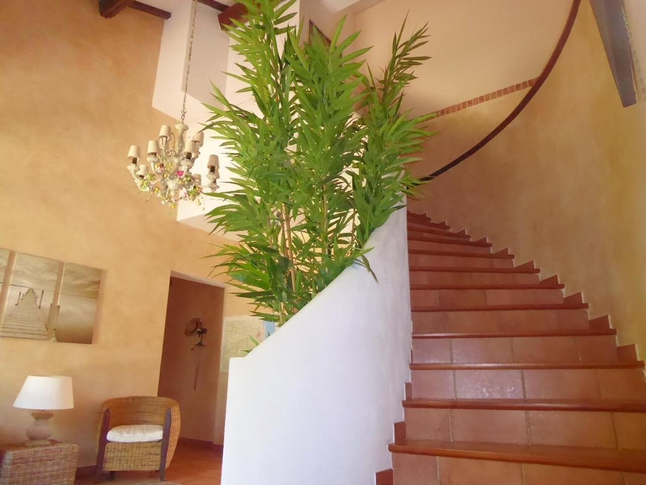 Mas Picton Hotel Argeles-sur-Mer Luaran gambar